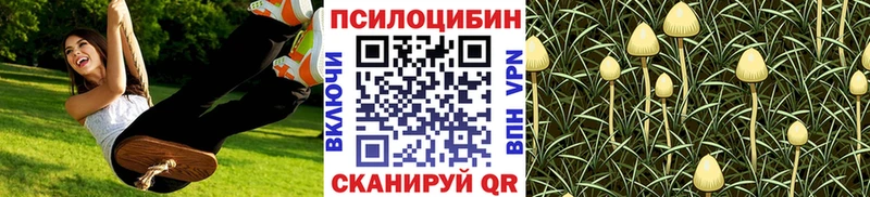 Псилоцибиновые грибы прущие грибы  даркнет сайт  Барнаул 